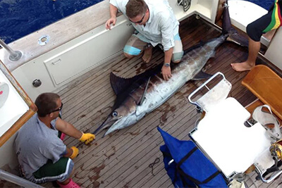 Get Bent Charters - Grand Cayman - Image 1