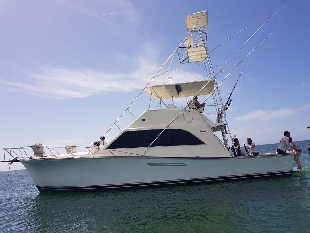 55 ocean yacht with outboards