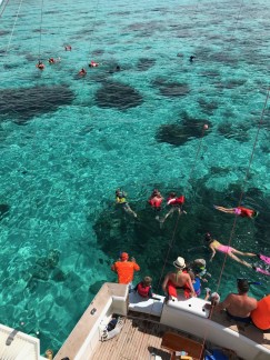 Best Snorkelling Spots in Cayman